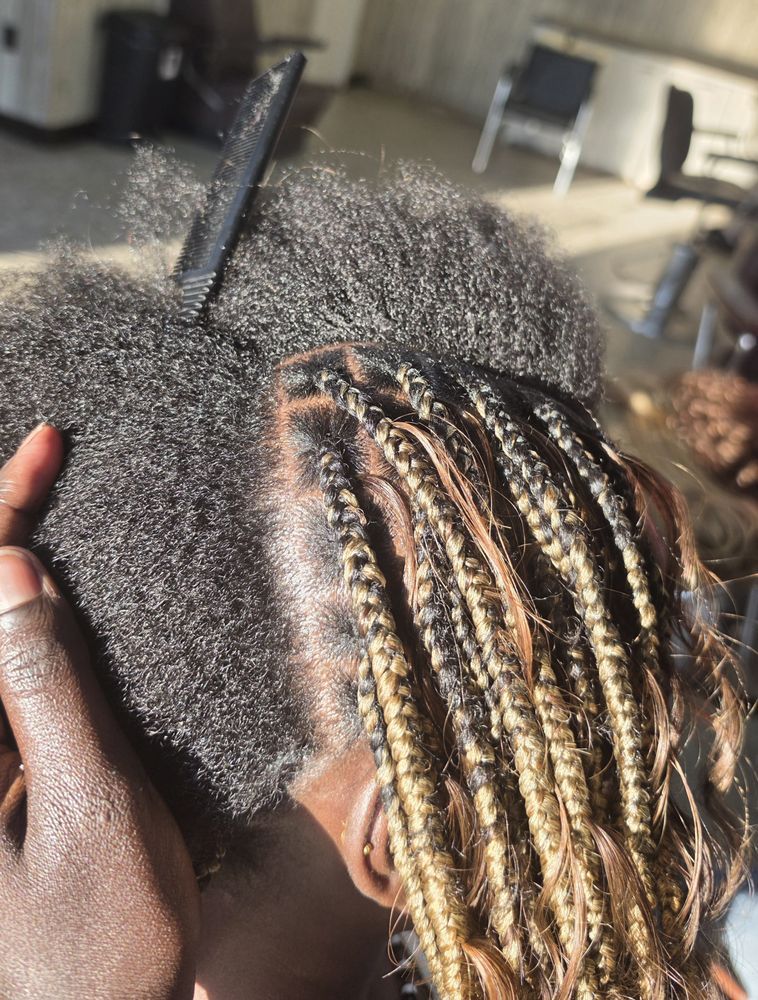 Crown of Africa Braids project photo