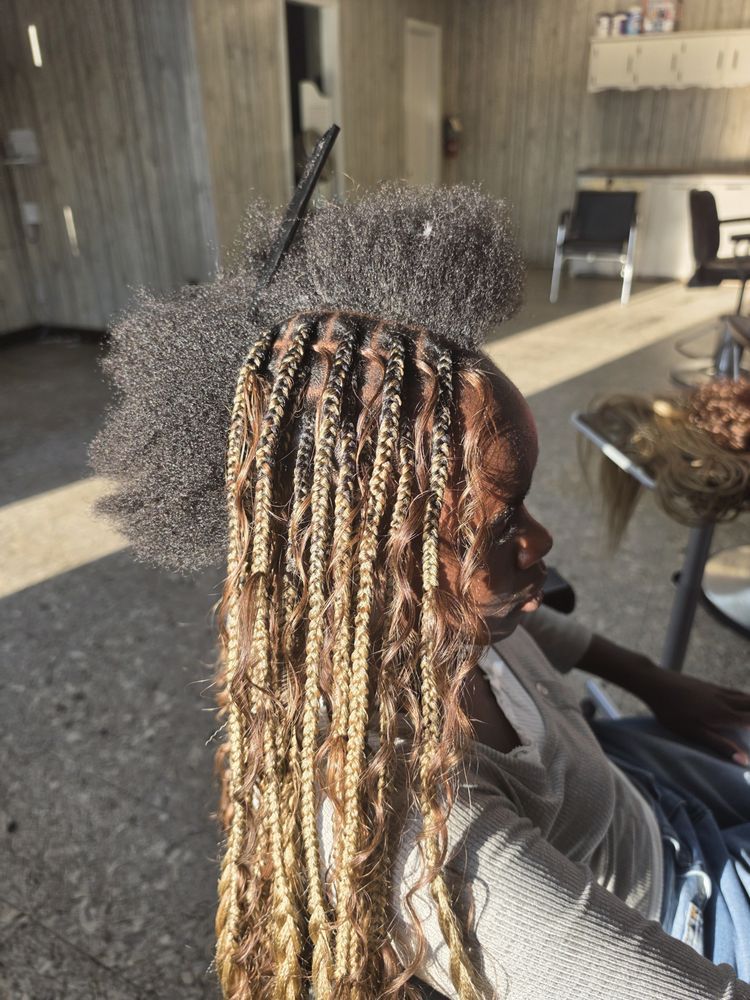 Crown of Africa Braids project photo