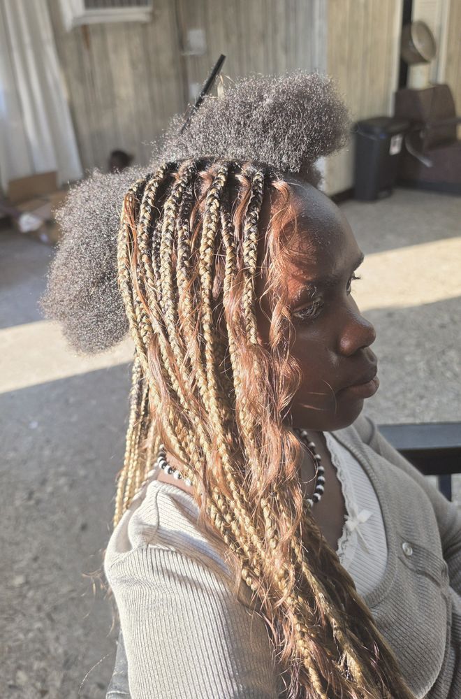 Crown of Africa Braids project photo